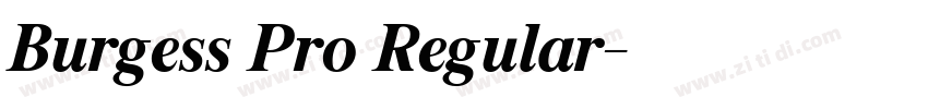 Burgess Pro Regular字体转换 Burgess Pro Regular字体转换